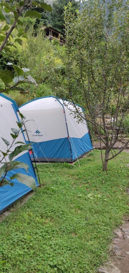 Parvatis Lap Luxury Hostel & Camps 卡索尔 外观 照片